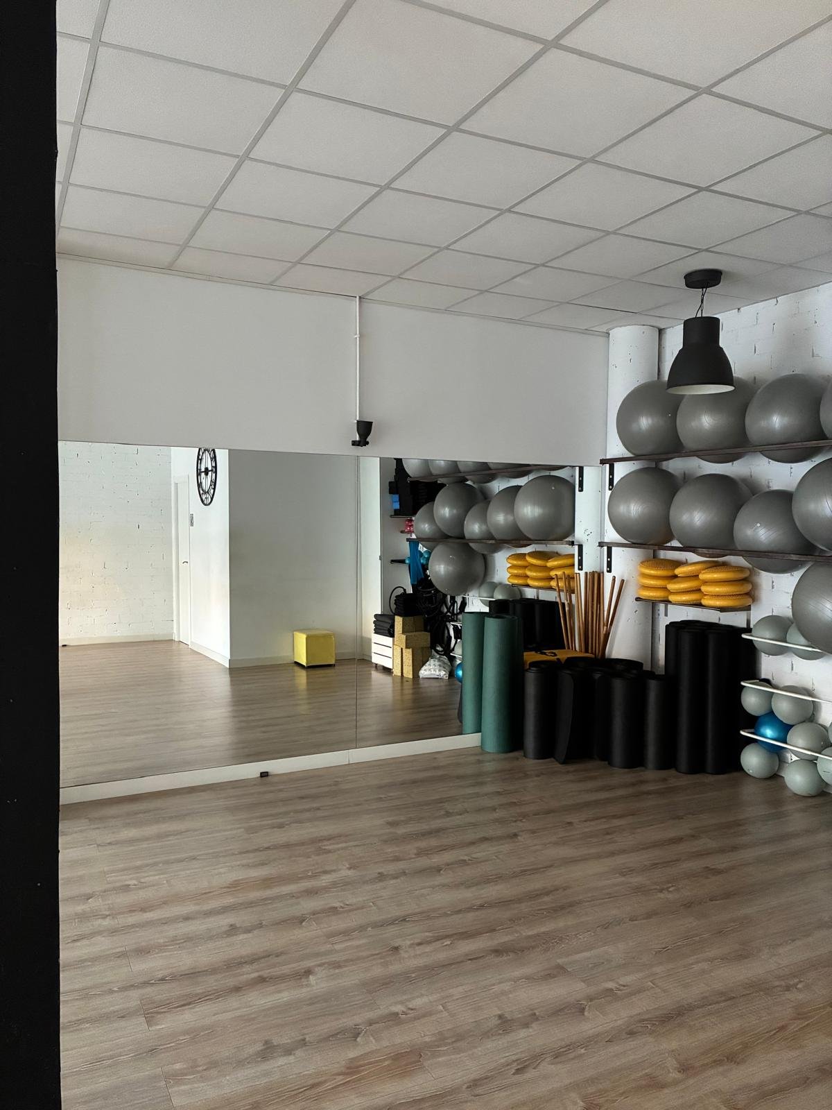 Material de la sala: fitballs, discos de equilibrio y esterillas